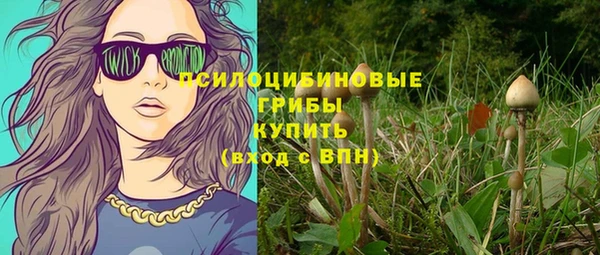 спиды Алексин