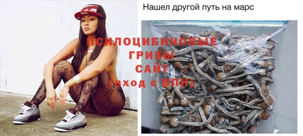сатива Алзамай