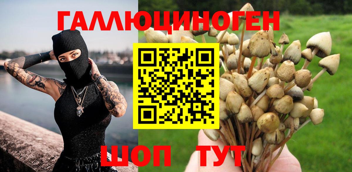 Балашов  Псилоцибиновые грибы MAGIC MUSHROOMS  Вход с VPN 