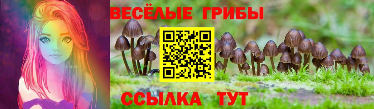 Галлюциногенные грибы мицелий Балашов